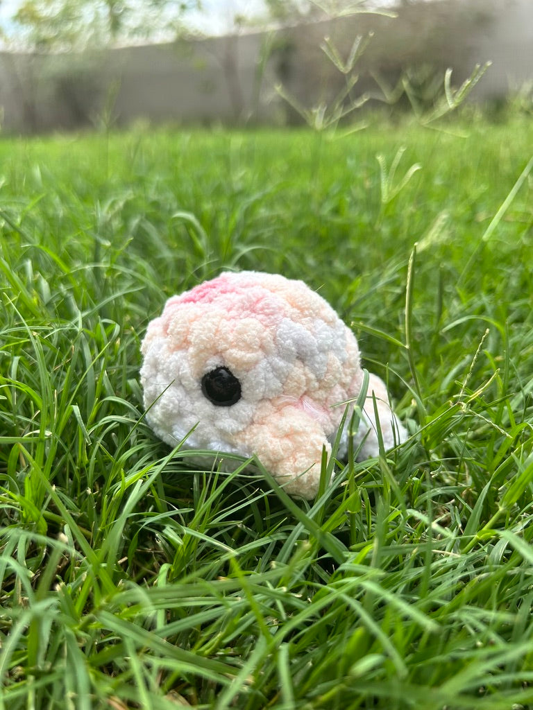 Pink Whale