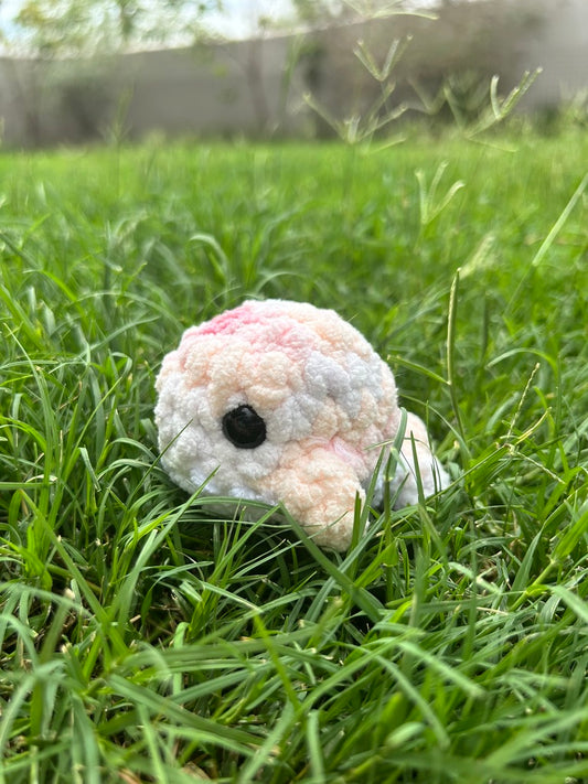 Pink Whale