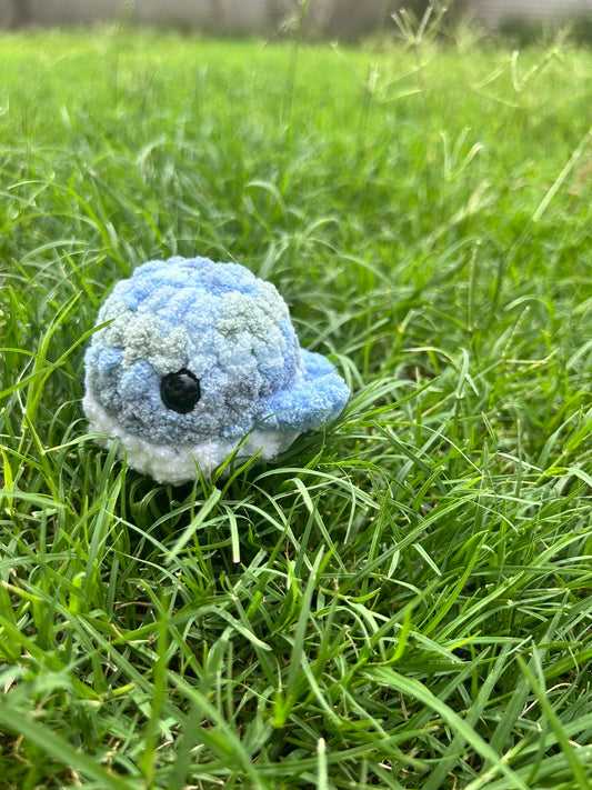 Blue Whale