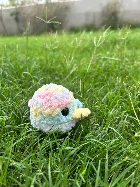 Pastel Whale