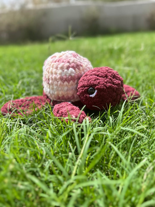 Pink Turtle