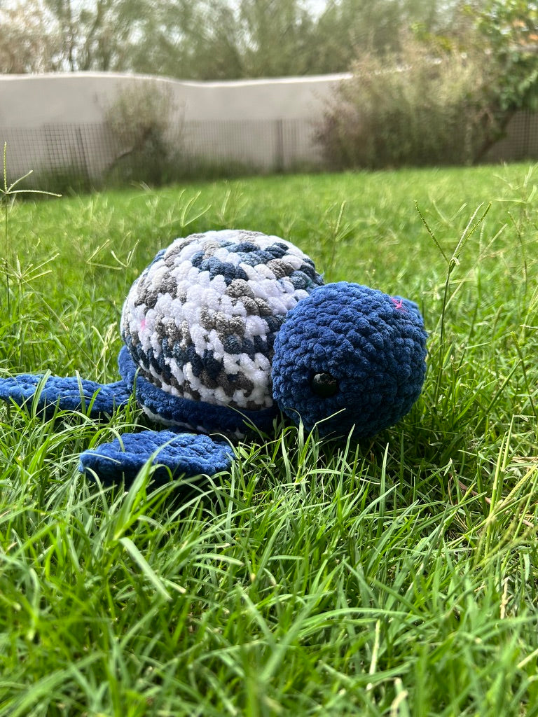 Blue Turtle