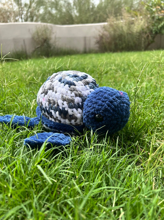 Blue Turtle