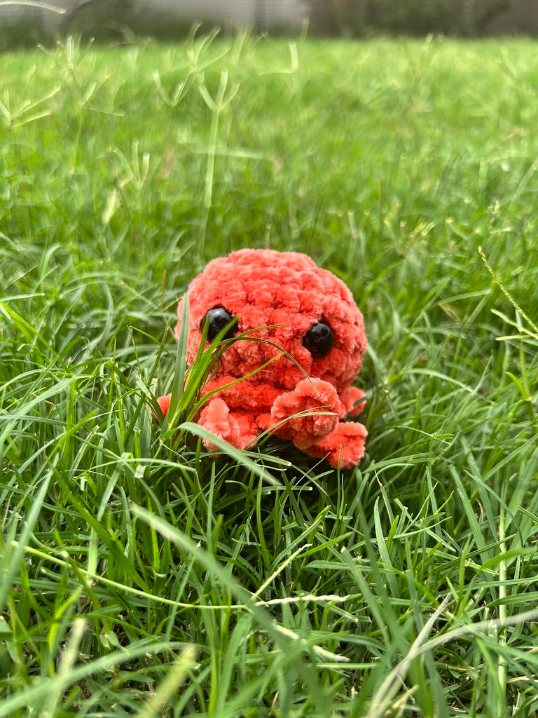 Small Orange Octopus