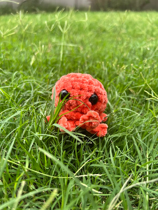 Small Orange Octopus