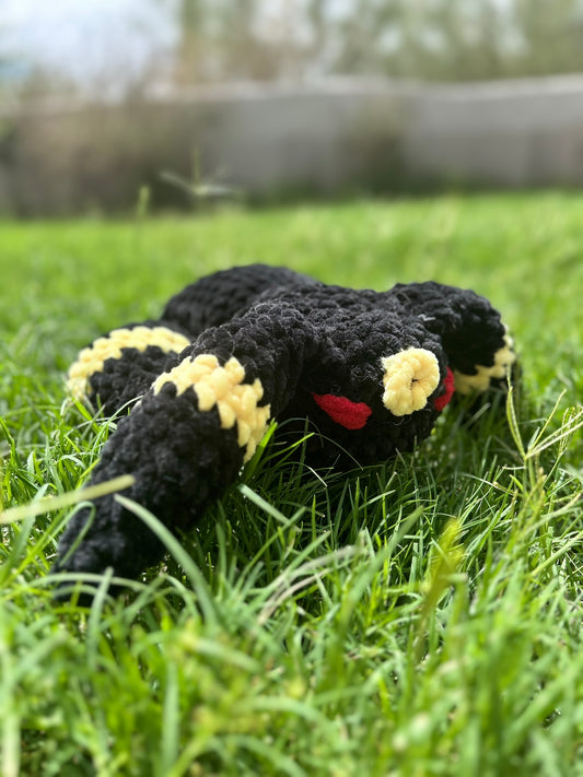 Sleeping Black and yellow fox