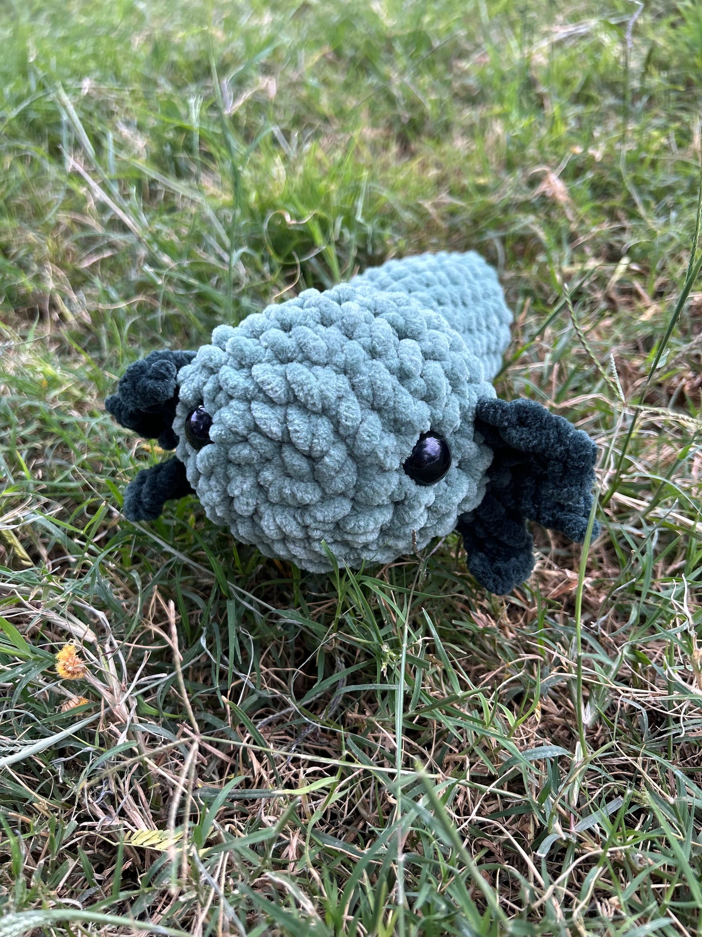 Green Axolotl