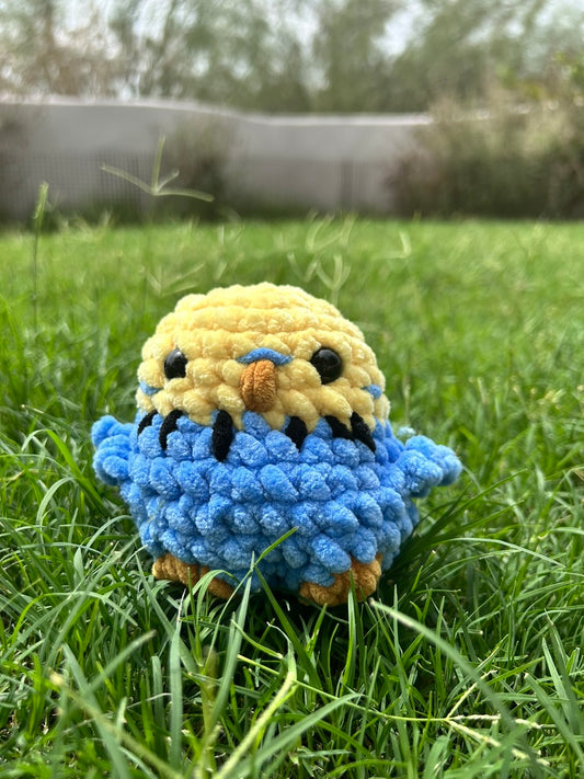 Blue and Yellow Budgie