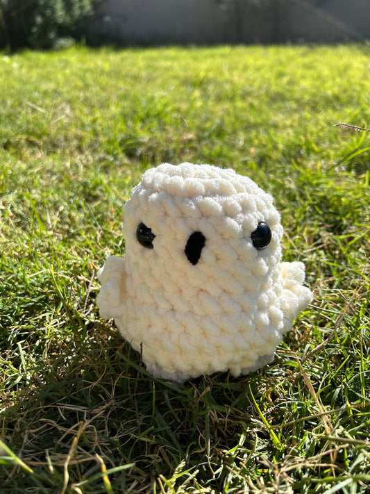 Snowy Owl