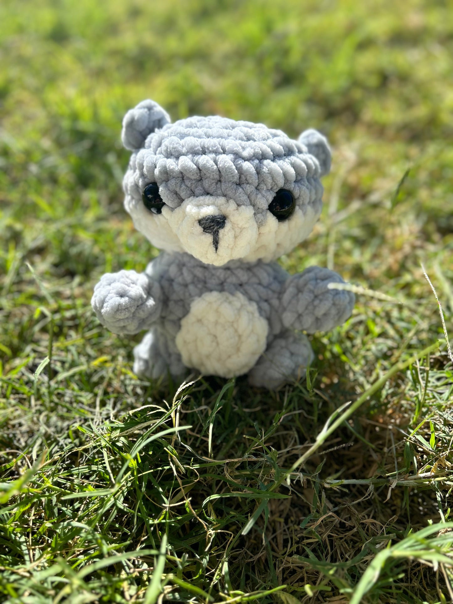 Cute baby bear