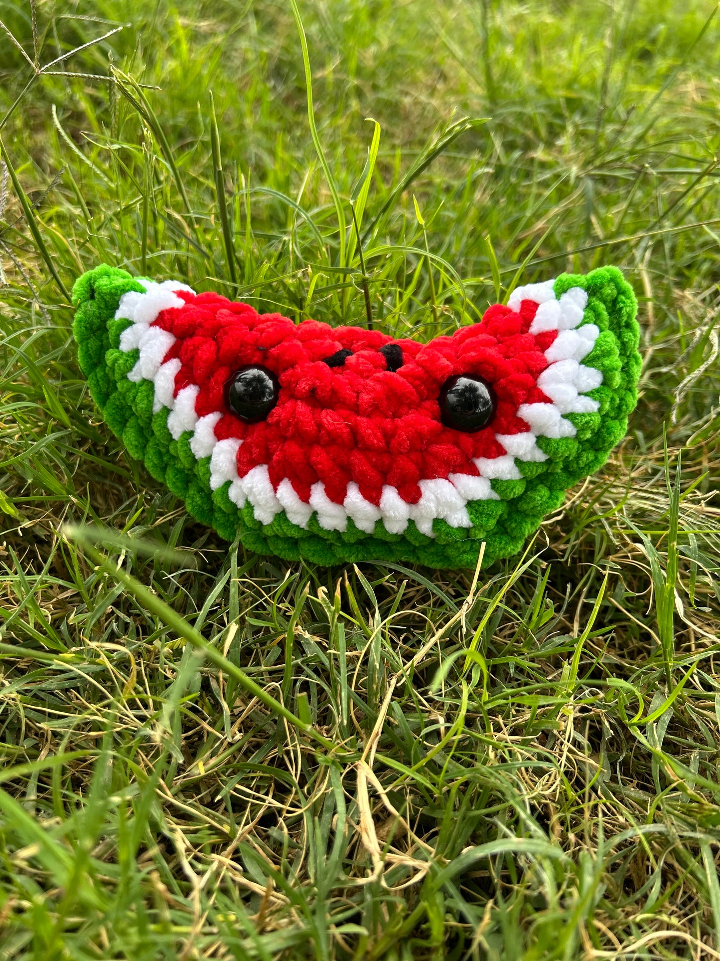 Watermelon Slice